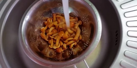 Kako kiseliti pečurke